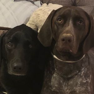 Meet your Posher, Bbilly